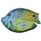 Pesce grande con sfumatura azzurro/giallo