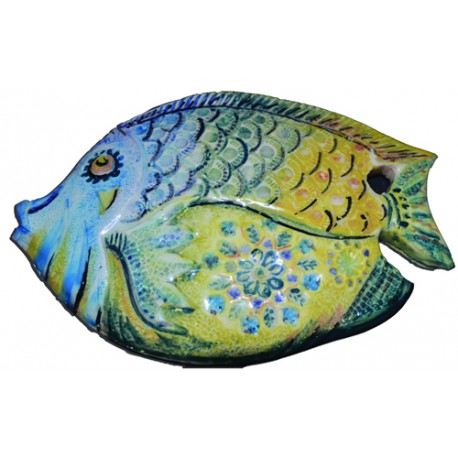 Pesce grande con sfumatura azzurro/giallo