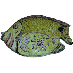 Pesce grande con sfumatura chiara