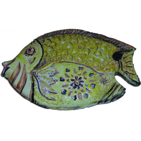 Pesce grande con sfumatura chiara